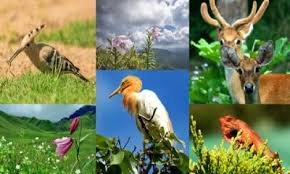 জীবজগতের নিয়ন্ত্রণ ও সমন্বয়