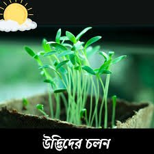 জীবজগতের নিয়ন্ত্রণ ও সমন্বয়