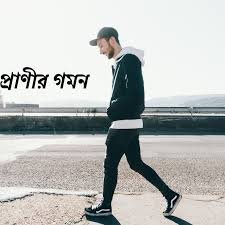 জীবজগতের নিয়ন্ত্রণ ও সমন্বয়
