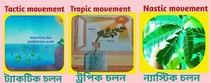 জীবজগতের নিয়ন্ত্রণ ও সমন্বয়