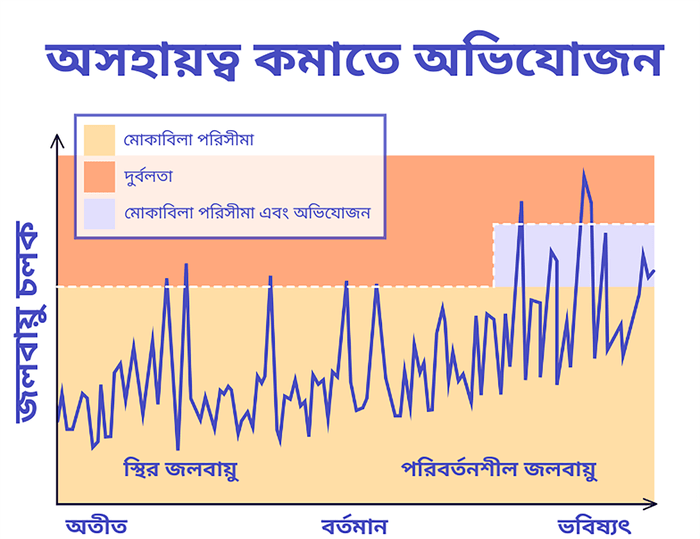 অভিযোজন