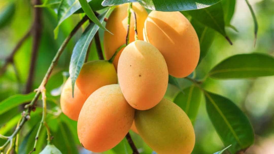 জীবনের বিজ্ঞান