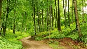 পরিবেশ