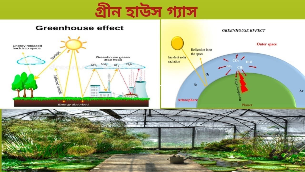 দূষণের