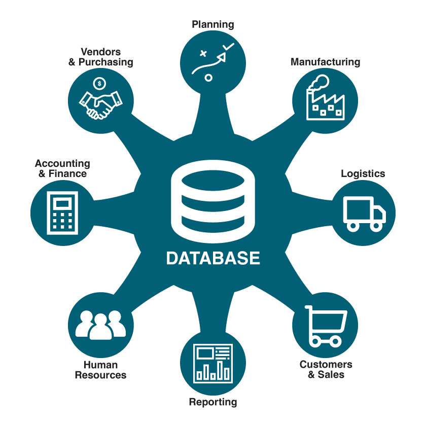 Business application software 