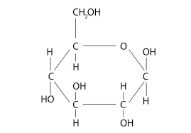 Photosynthesis