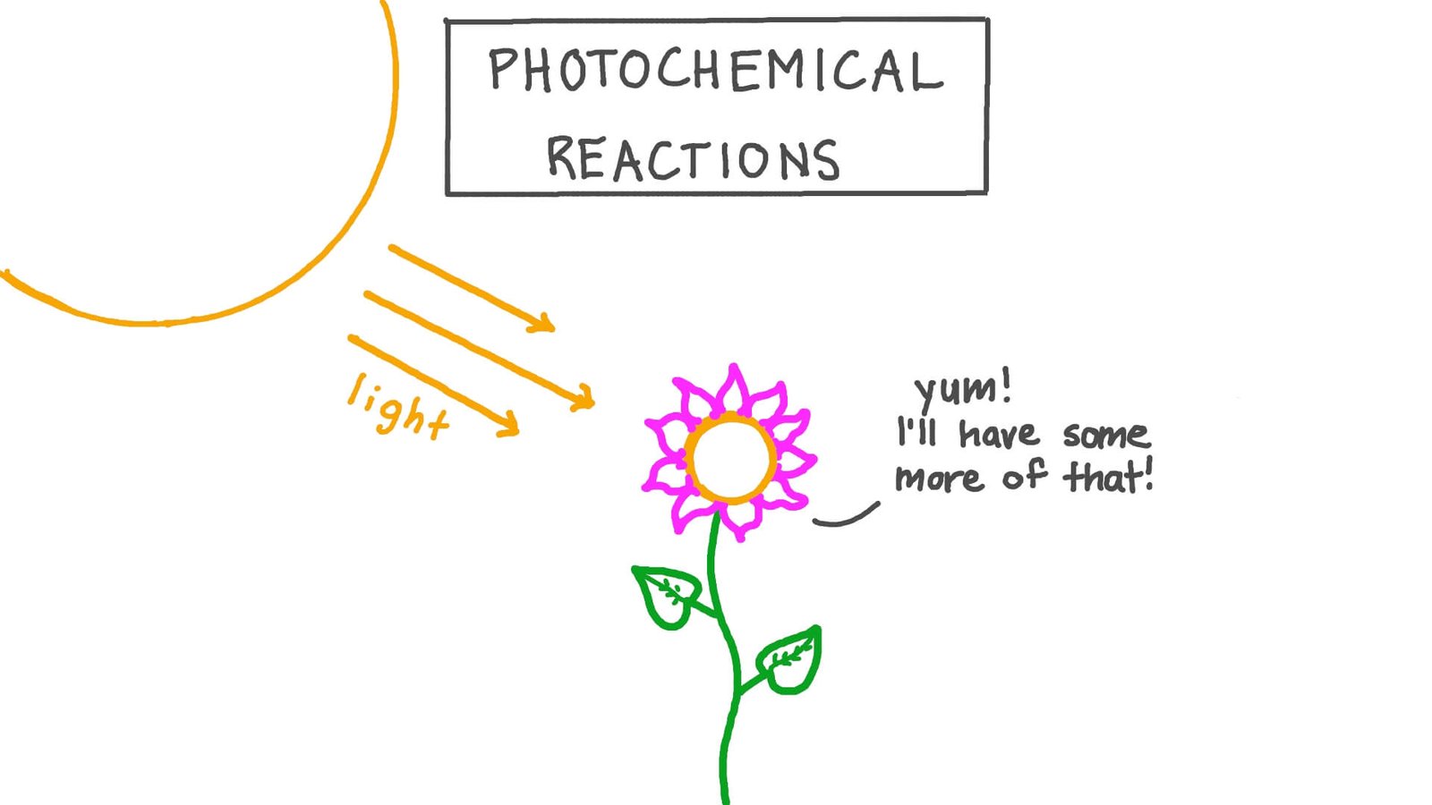 Photosynthesis