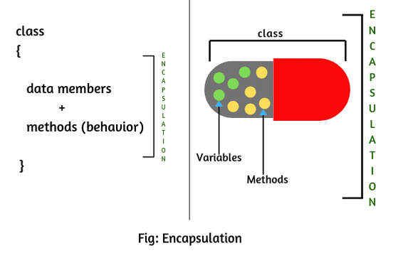 Object-Oriented Programming 