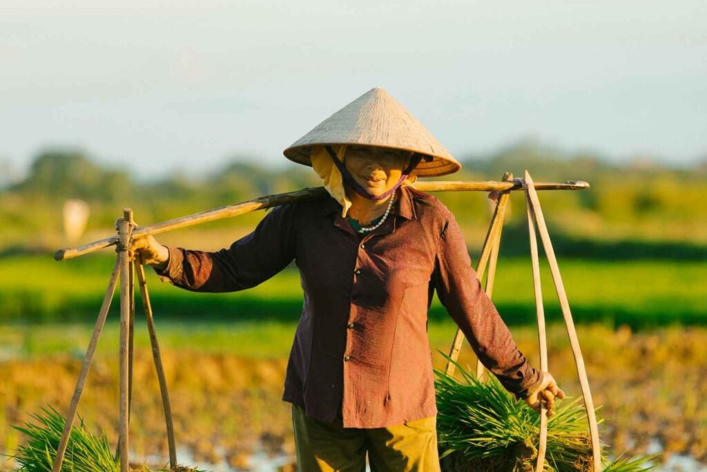 health benefits of organic food