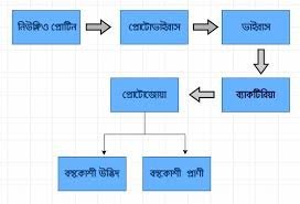 অভিব্যক্তি