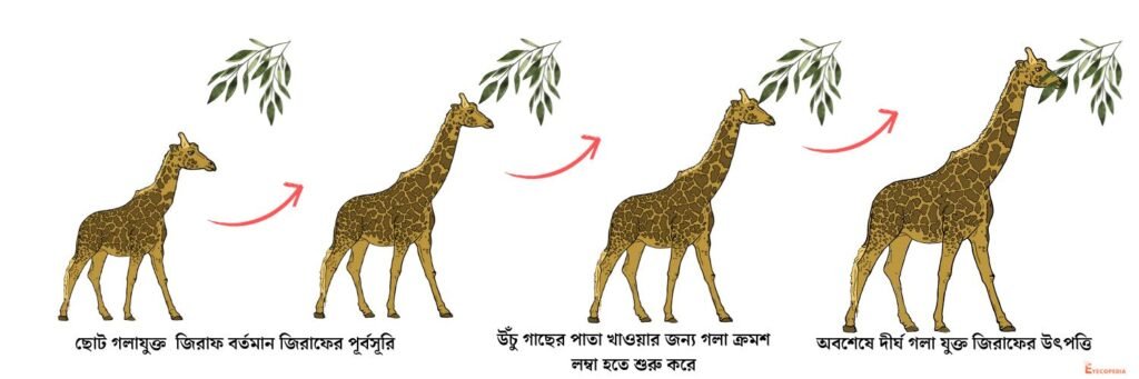 অভিব্যক্তি