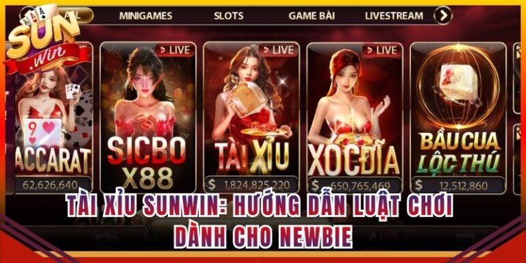 Tài xỉu Sunwin: Hướng Dẫn Luật Chơi Dành Cho Newbie